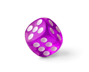 Purple game dice on white background