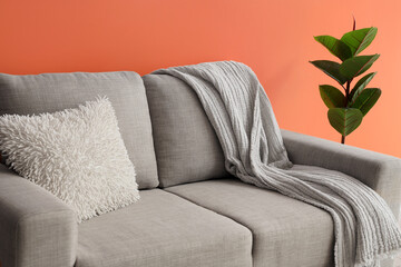 Comfortable beige sofa and houseplant in interior of living room, closeup