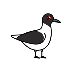 Fototapeta premium Simple illustrations. vector. black headed gull. 
