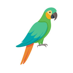 Simple illustrations. vector. buffons macaw