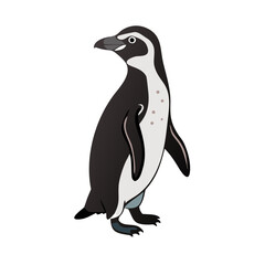 Fototapeta premium Simple illustrations. vector. humboldt penguin.
