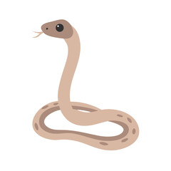 Fototapeta premium Simple illustrations. vector. japanese rat snake.