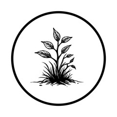 A black and white botanical plant illustration in a circle logo with a detailed presentation and artistic quality
