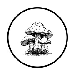 Illustration of three mushrooms inside a circle showcasing nature's simplicity and the beauty of botanical illustration with organic elements