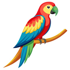 blue and yellow macaw