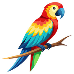 blue and yellow macaw