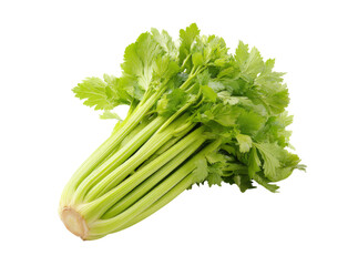 Fresh green celery stalks with lush leaves isolated on black background, Isolated On Transparent Background, Png, Cut Out