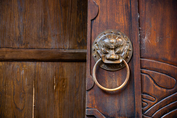 Detailed close-up of an ornate bronze door knocker found in a tr