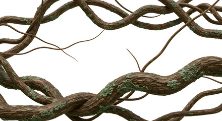 Woven vines create a natural frame, evoking the textures of the jungle and the wild