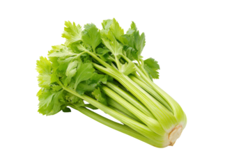 Fresh green celery stalks isolated on black background, Isolated On Transparent Background, Png, Cut Out