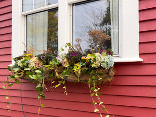 The exterior of a vibrant red color wooden wall with a double hung glass window with white curtains. There's white trim on the building. A flower box hangs under the window with colorful flowers.