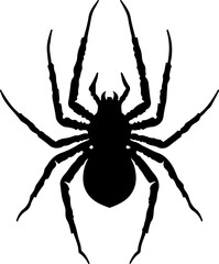 Obraz premium spider on a white background, spider, insect, animal, isolated, white, nature, arachnid, black, bug, vector, halloween, macro, illustration, symbol, scary, tarantula, brown, arachnophobia, white backg