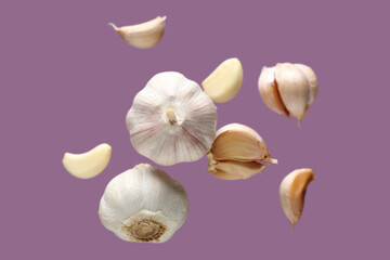 Flying fresh garlics on purple background