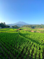 landscape of the mountains