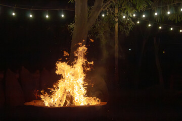 Close-up of burning firewood with glowing orange and yellow flames. Hot firelight contrasts with...