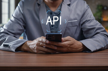 Professional Developer Using Smartphone with API Conceptual Display