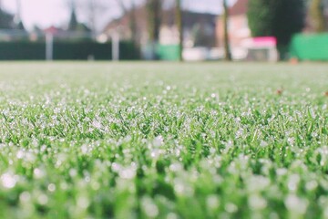 Frozen grass field close-up