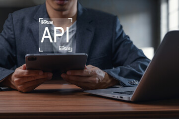 Professional Programming Interface with API Concept and Technology Tools