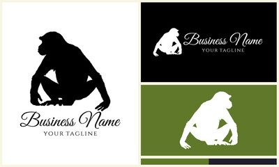 Monkey Logo Design Variations. (24)