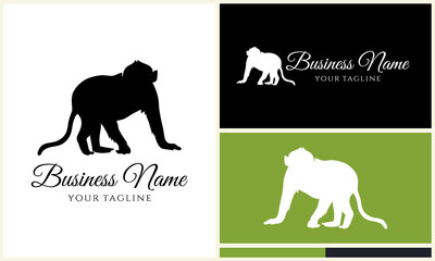 Monkey Logo Design Variations. (11)