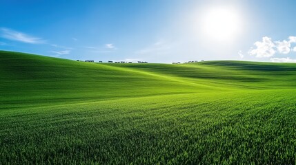 Obraz premium Rolling green hills landscape on sunny day blue sky serene nature scenery