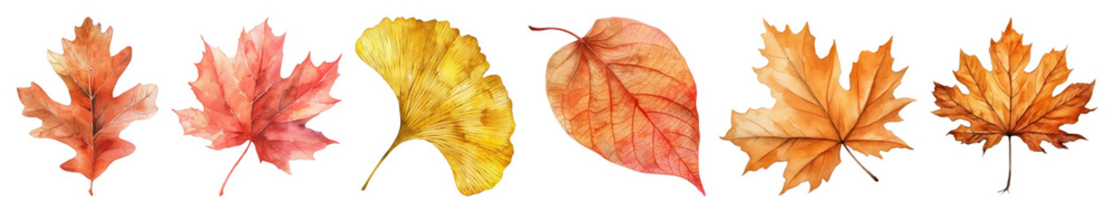 Naklejka premium PNG Colorful autumn leaves illustration, element set on transparent background