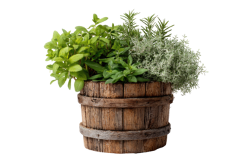 Wooden barrel planter filled with various fresh herbs