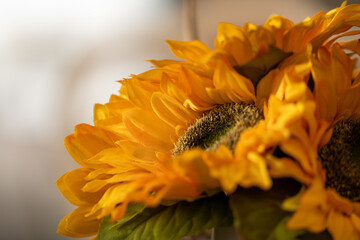 Beautiful Yellow Sunflowers Arranged for Decoration in a Bright Setting