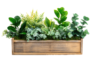 Wooden planter box filled with various greenery