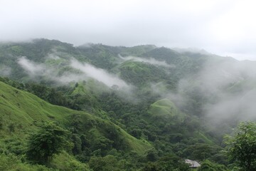 Misty green hills, thick with foliage