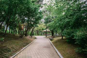 The ordinary look of Seoul
