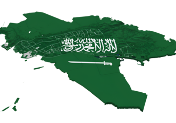 3D Illustration Of The Saudi Arabia Flag In Green And White On Isolated Transparent Background