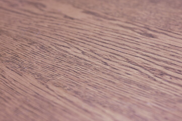 背景に最適な画像25080817