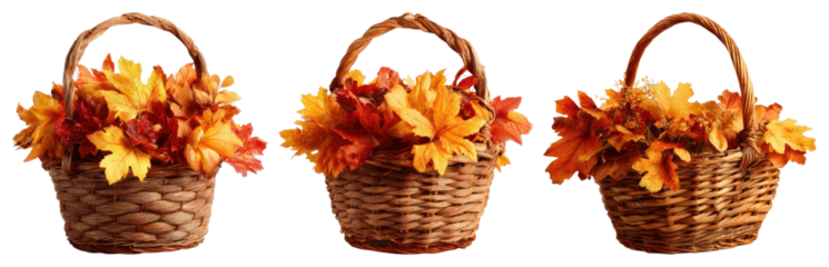 PNG Autumn baskets with vibrant leaves, element set on transparent background