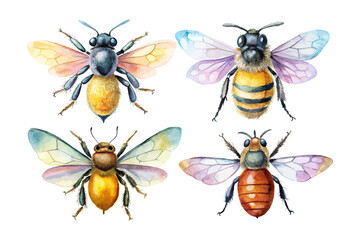 set of watercolor bee vector illustration isolated on white background