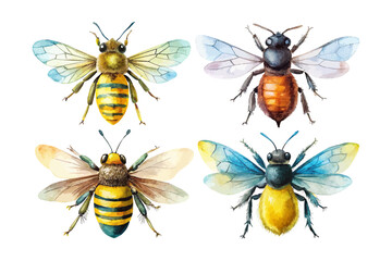 set of watercolor bee vector illustration isolated on white background