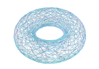 Abstract 3D Torus Network Structure with Blue Lines on Black Background