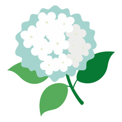 A beautiful stylized illustration of a white hydrangea flower with light blue accents and green leaves
