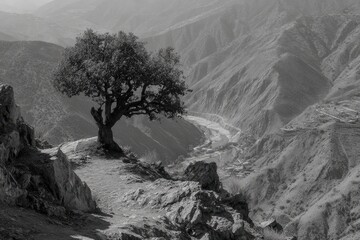 Black and white mountain landscape with lone tree on a cliff