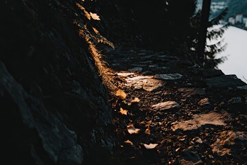 Sunlit path on a rocky mountainside