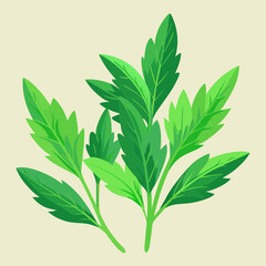 Fototapeta premium green leaves isolated on white