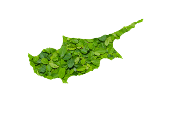 Abstract Illustration of Cyprus Map Made of Green Leaves on Black