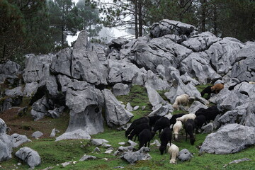 Scenery of hiking trails between Xexocom, Chuatuj and Chortiz villages near Nebaj, Quiche,...
