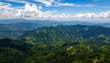 Fototapeta premium エメラルドの山並みと亜熱帯の森パノラマ