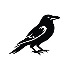 crow silhouette line art vector illustration
