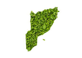 Abstract Illustration of Green Leaves Forming A Shape On Black Background