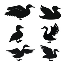 Vector set of wild ducks silhouette illustration