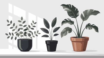 Obraz premium Minimalist Interior Three Potted Plants with Window Light, Artistic Illustration Style