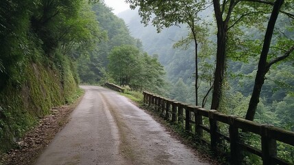 Obraz premium Winding road through lush green mountains