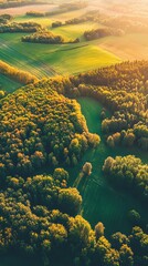 Aerial view of rolling hills, fields, and forests.  Golden sunlight illuminates the landscape